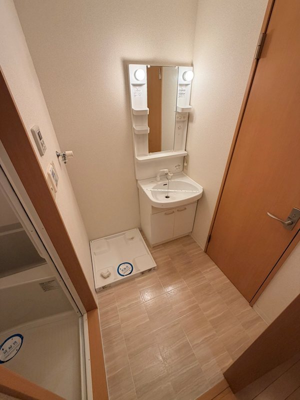 アムール西京極 洗面所