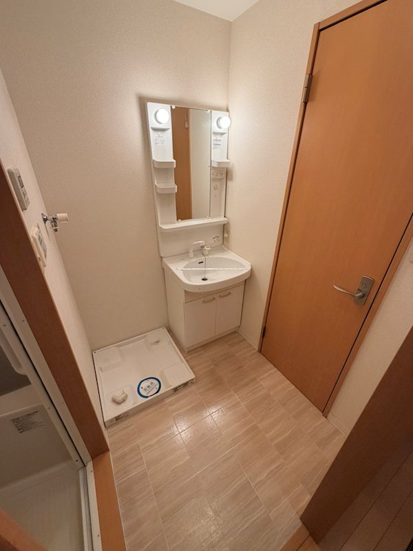 アムール西京極 洗面所