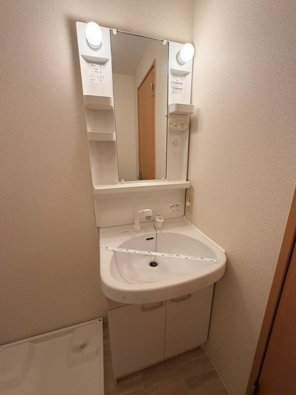 アムール西京極 洗面所