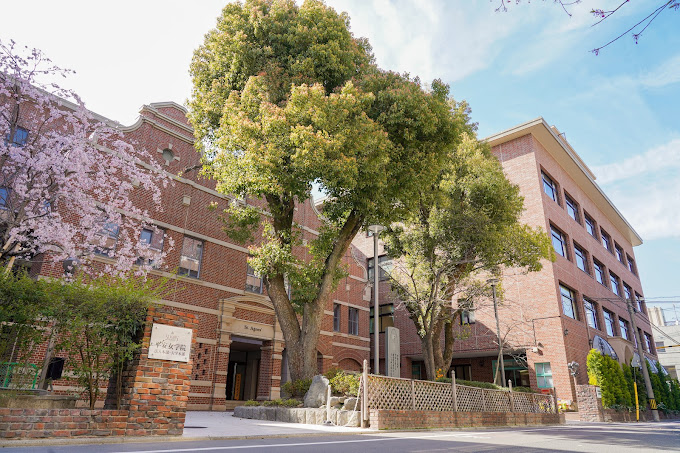 attrice東堀川 大学・短大