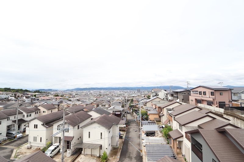 Fine Terrace 眺望