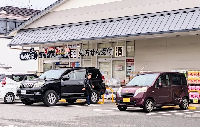 川島三重町戸建 ドラッグストア