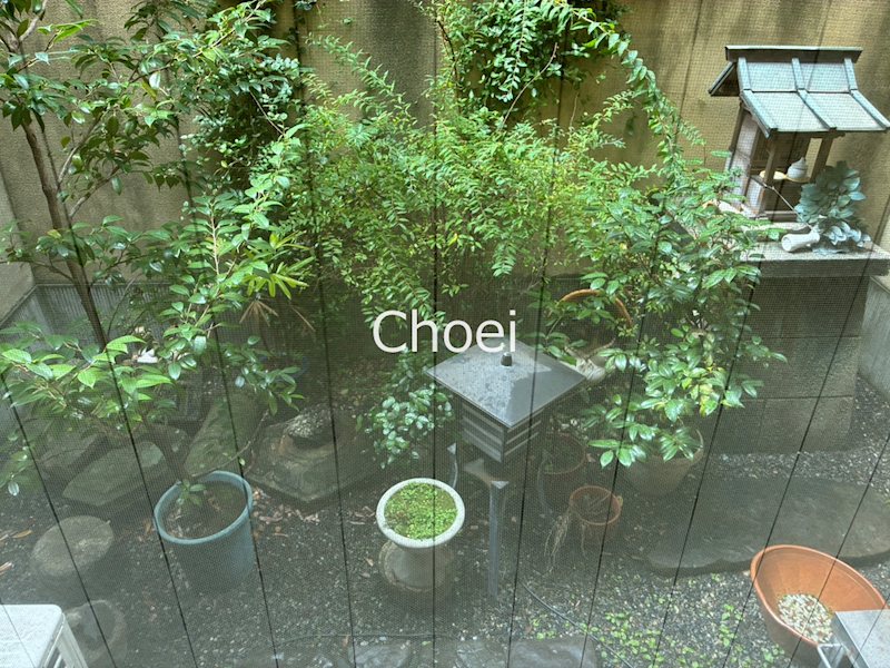 荒木ビル 庭