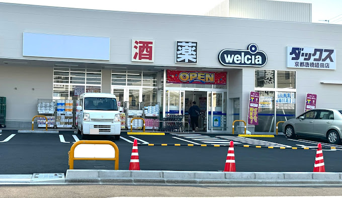アドバンス京都レイズ ドラッグストア