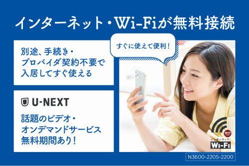 スターハウス レインズ用チラシ画像