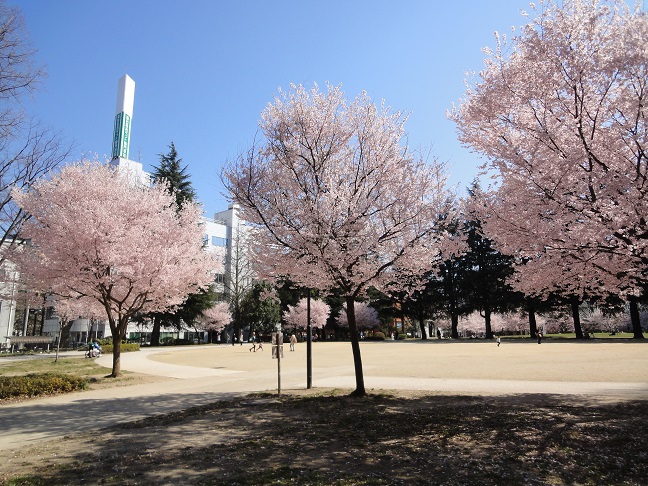 リージア勾当台公園 その他10