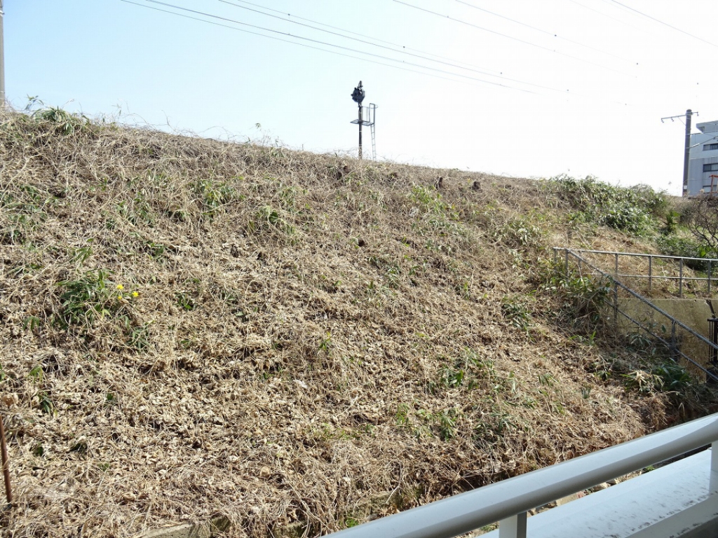 アステラス銀杏町 その他28