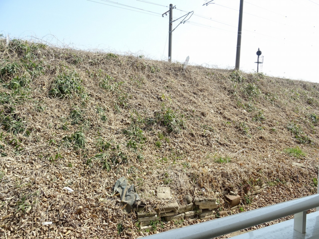 アステラス銀杏町 その他28
