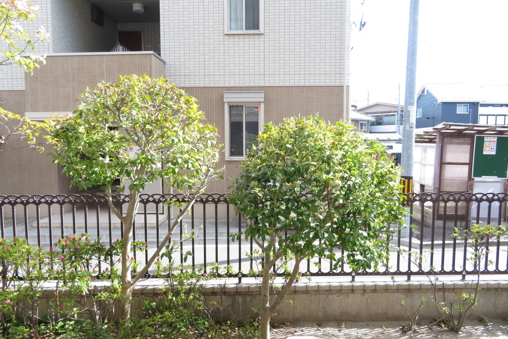 エルスタンザ河原町 その他27