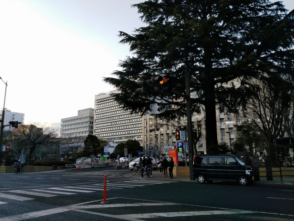 リエス支倉町 その他10