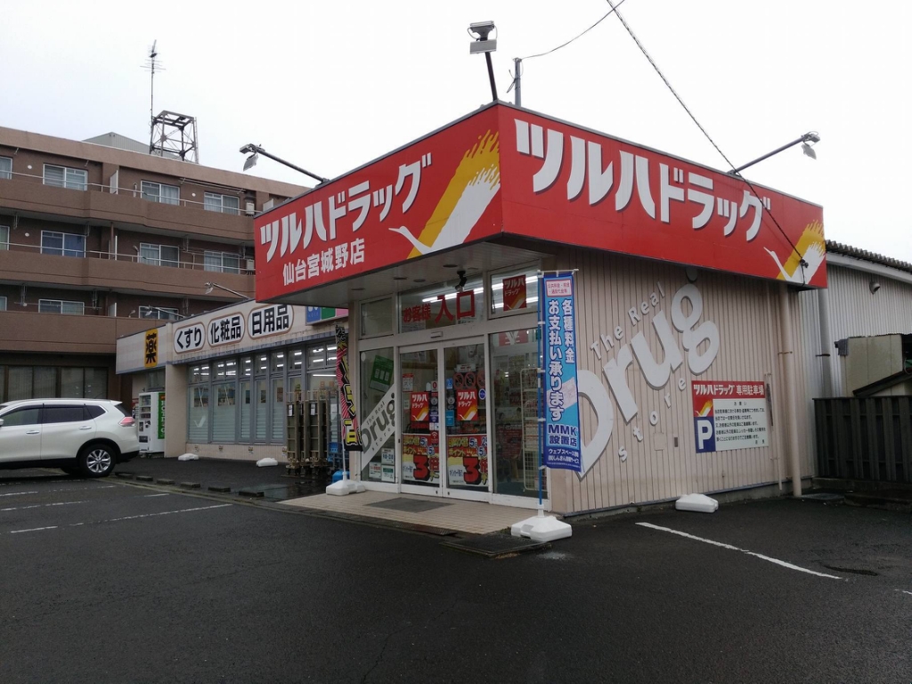ドストルパルⅠ その他10