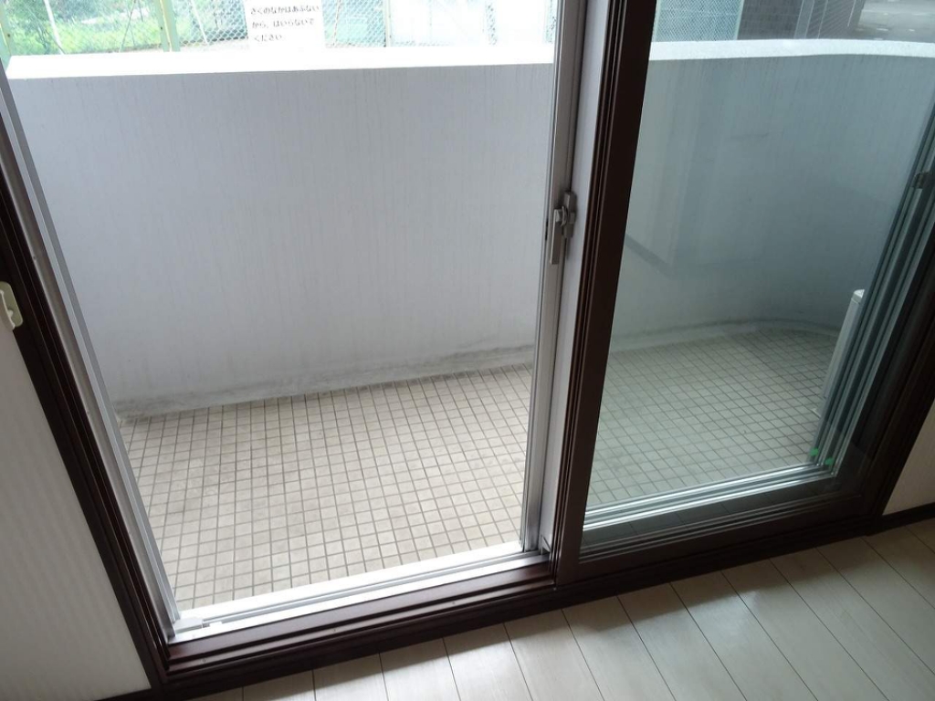 Ｃａｄｏｇアイリス その他21