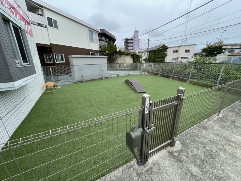 Ｃａｄｏｇアイリス その他25