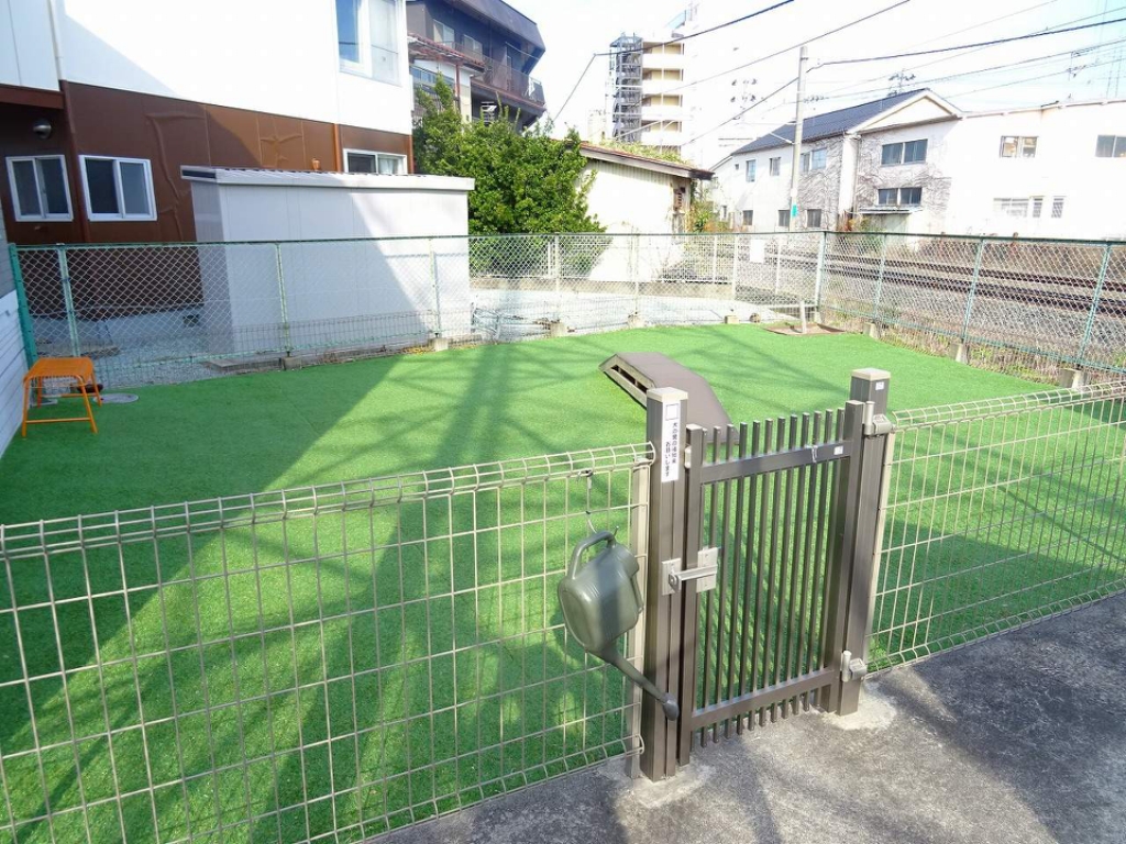 Ｃａｄｏｇアイリス その他25