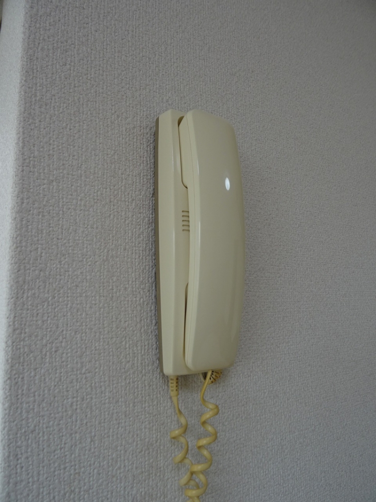 レモンハウス その他14