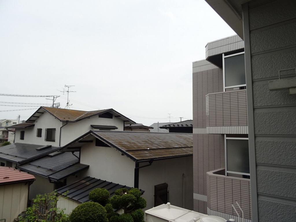 レモンハウス その他28