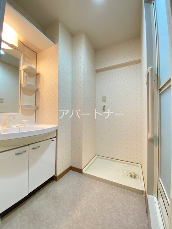 グレイスドミールはやま 洗面所