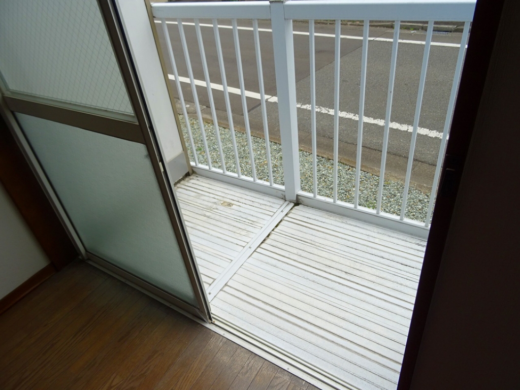 グリーンリーフ表柴田 その他12