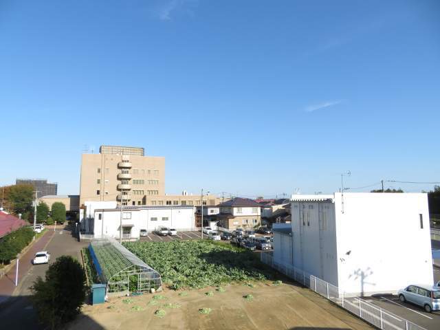 Ｓｕｍ　ｔｏｍｉｚａｗａ その他28