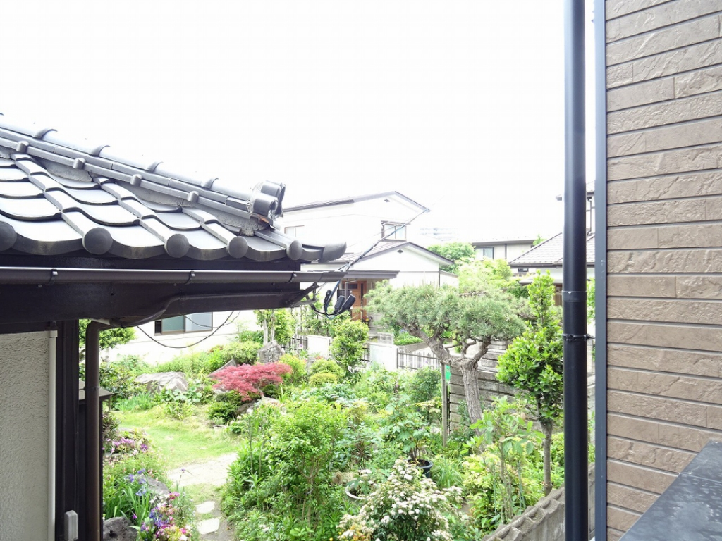 Ｌｏｎｇ　Ａｎ　Ｓｋｙ その他28