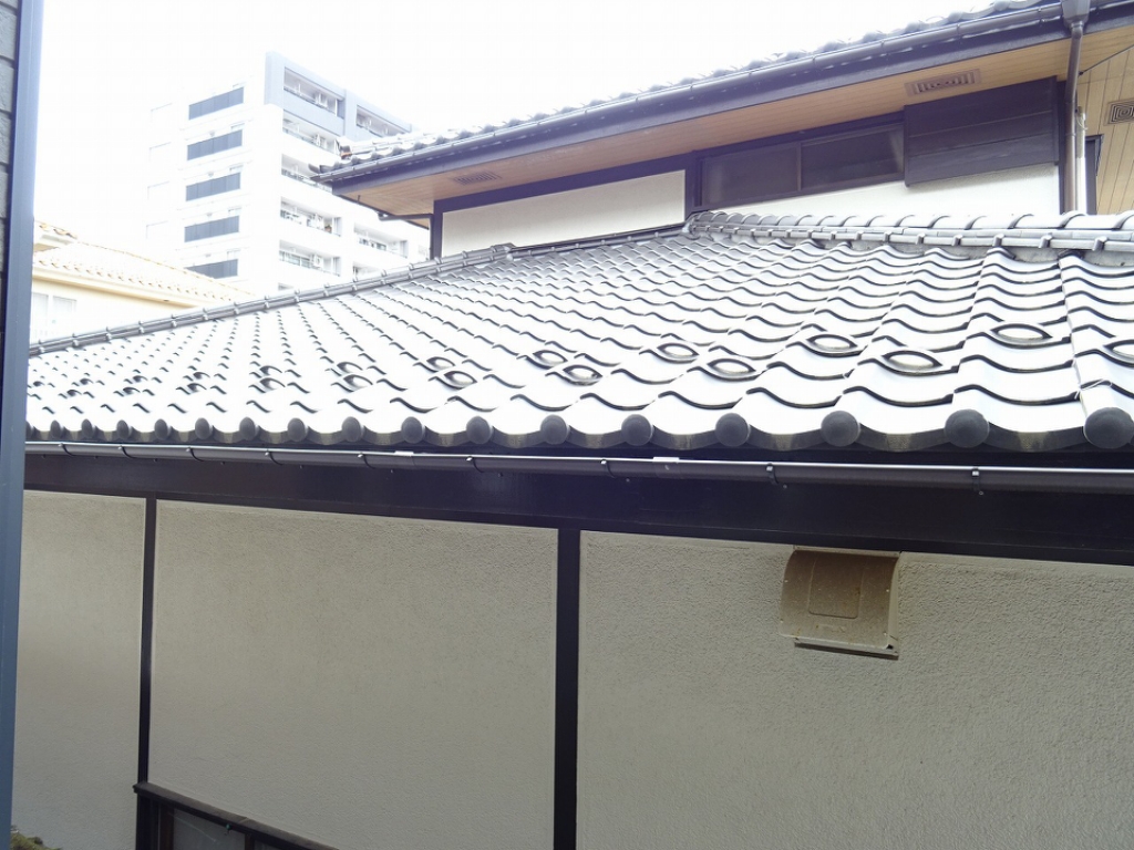 Ｌｏｎｇ　Ａｎ　Ｓｋｙ その他28