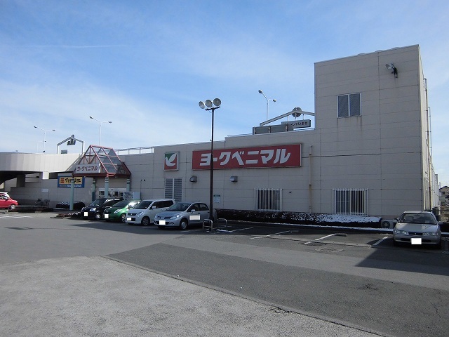 シャンドフルール関　Ⅱ その他外観2