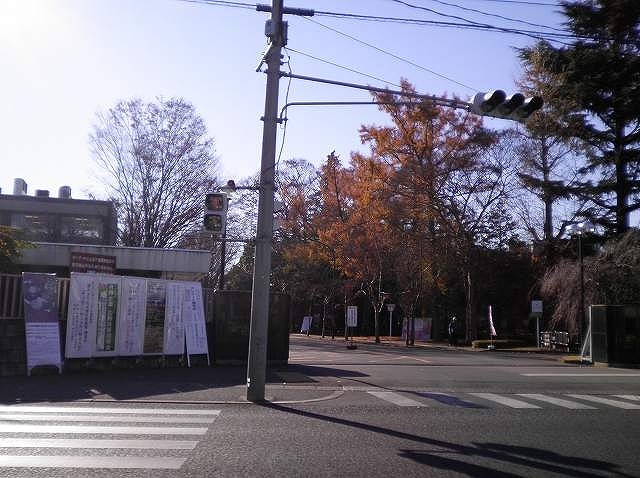アルベール平松 その他外観1