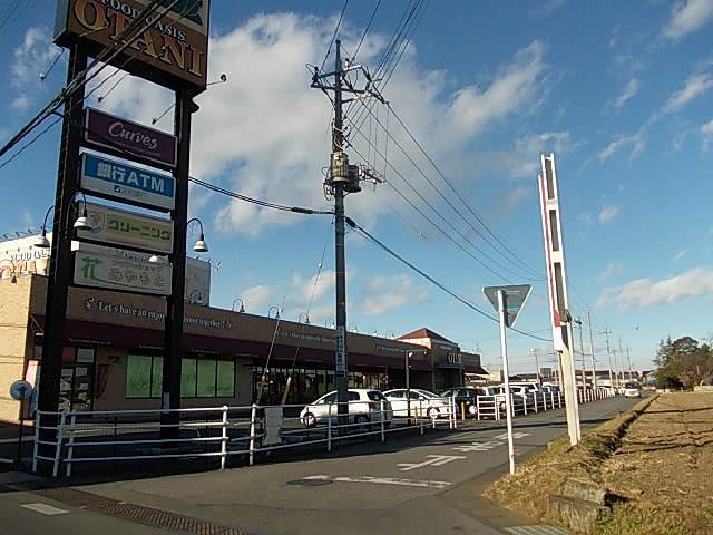 プリムローズ その他外観2