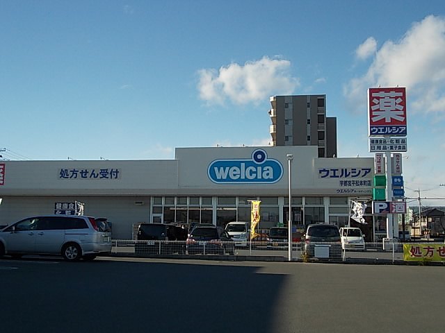 プリムローズ その他外観3