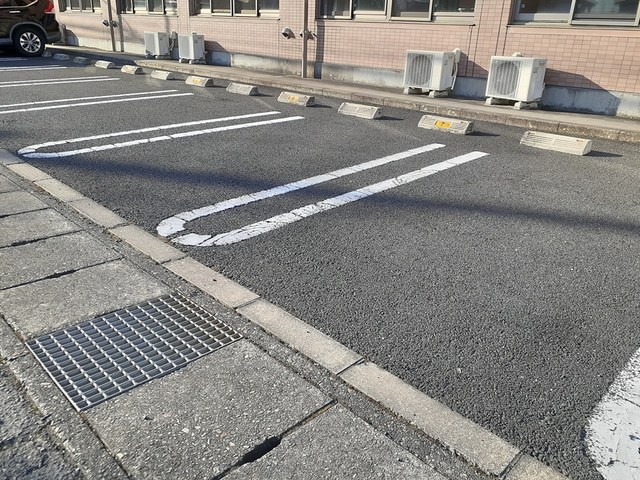 プリムローズ その他7