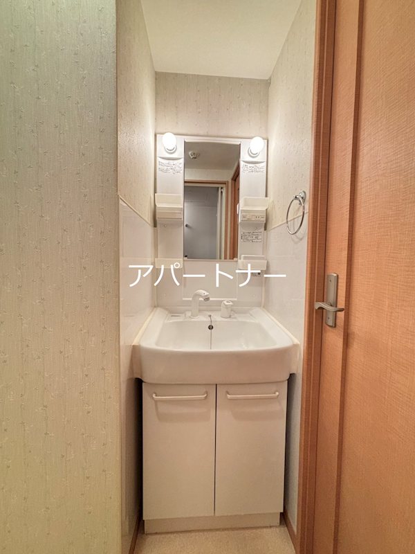 グランドヒルズ 洗面所