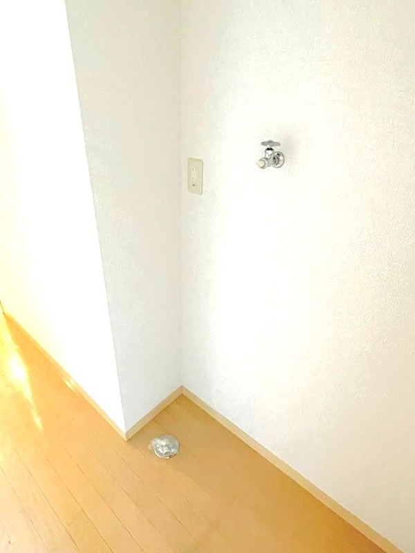 セリーナ その他
