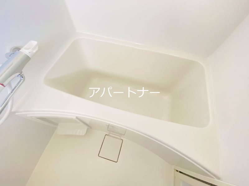 IRISSPIRA.BRIGHT武之橋アイル 風呂画像