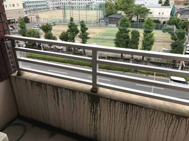 カルディナーレ中州 眺望