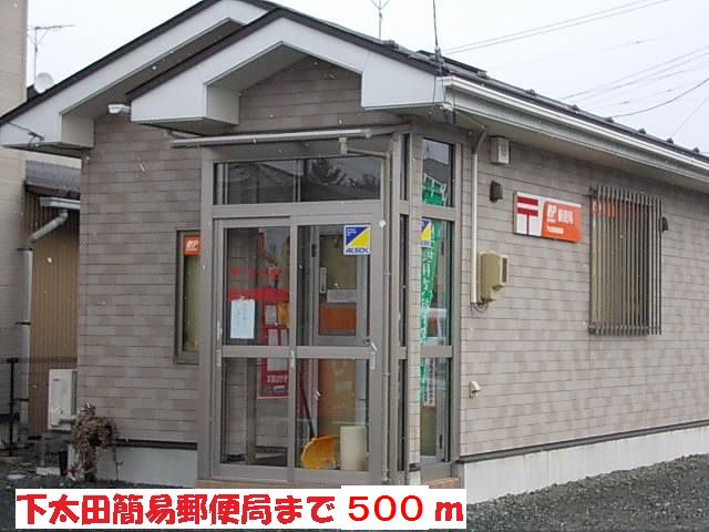 パームハイムＳ その他