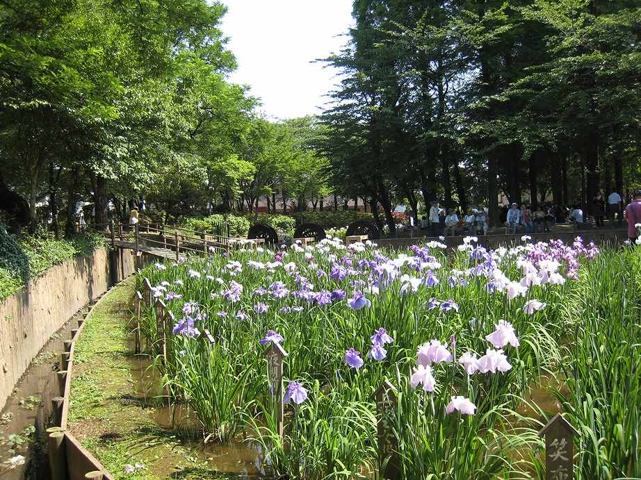 東京都足立区加平３丁目 公園