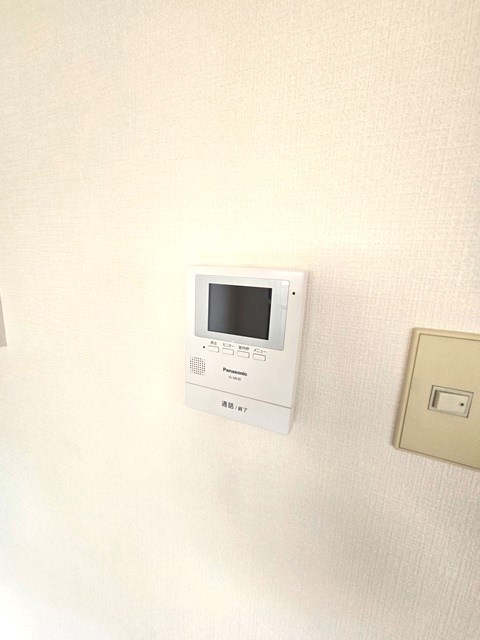 アムールチュラ セキュリティ