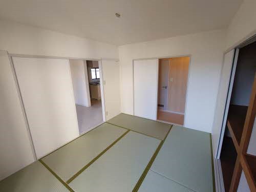ディアス和田 その他
