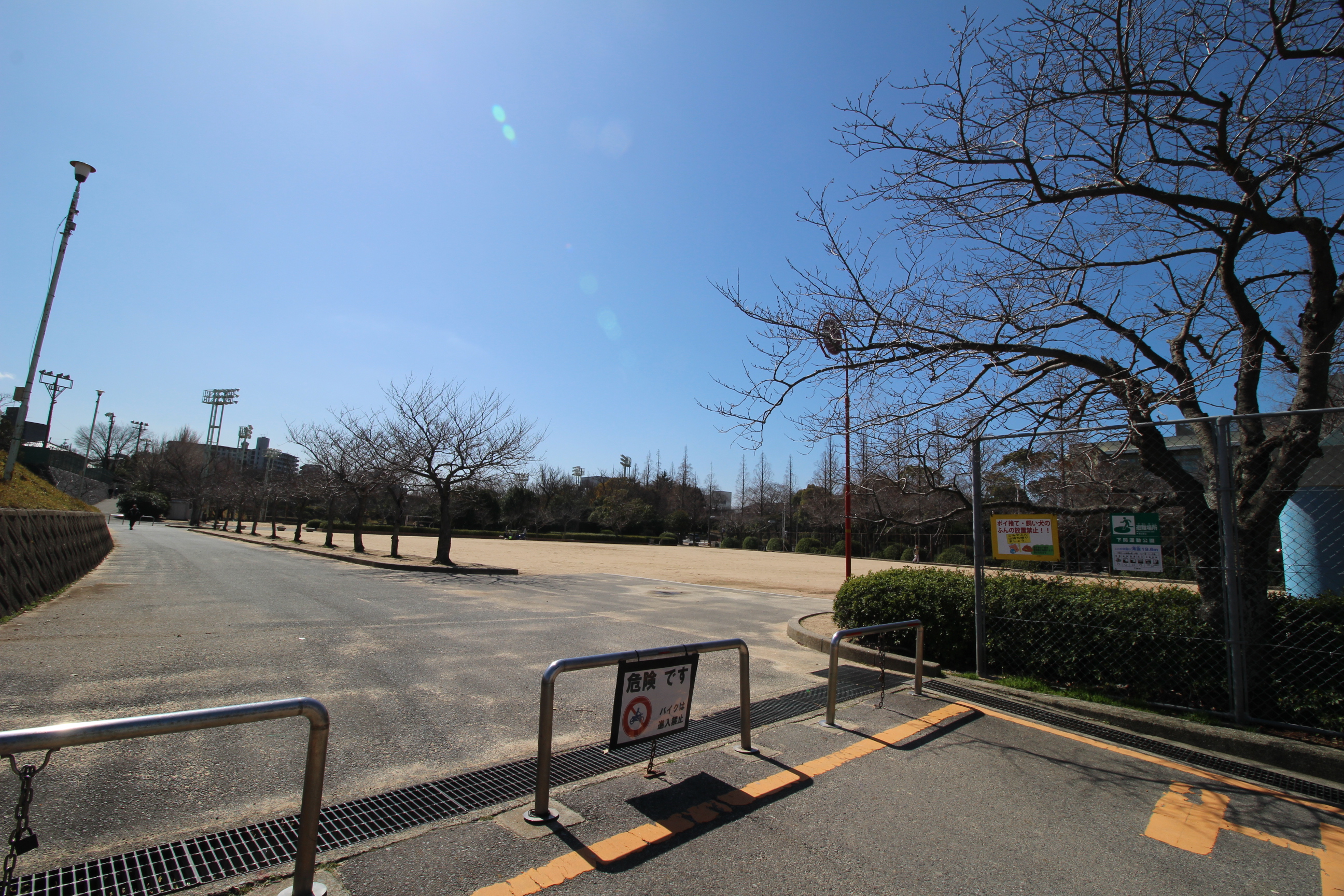 中野ビル 公園