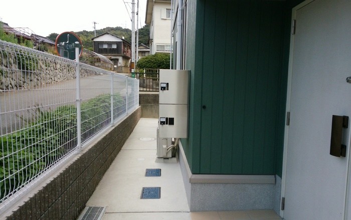 オリーブ ベリー その他