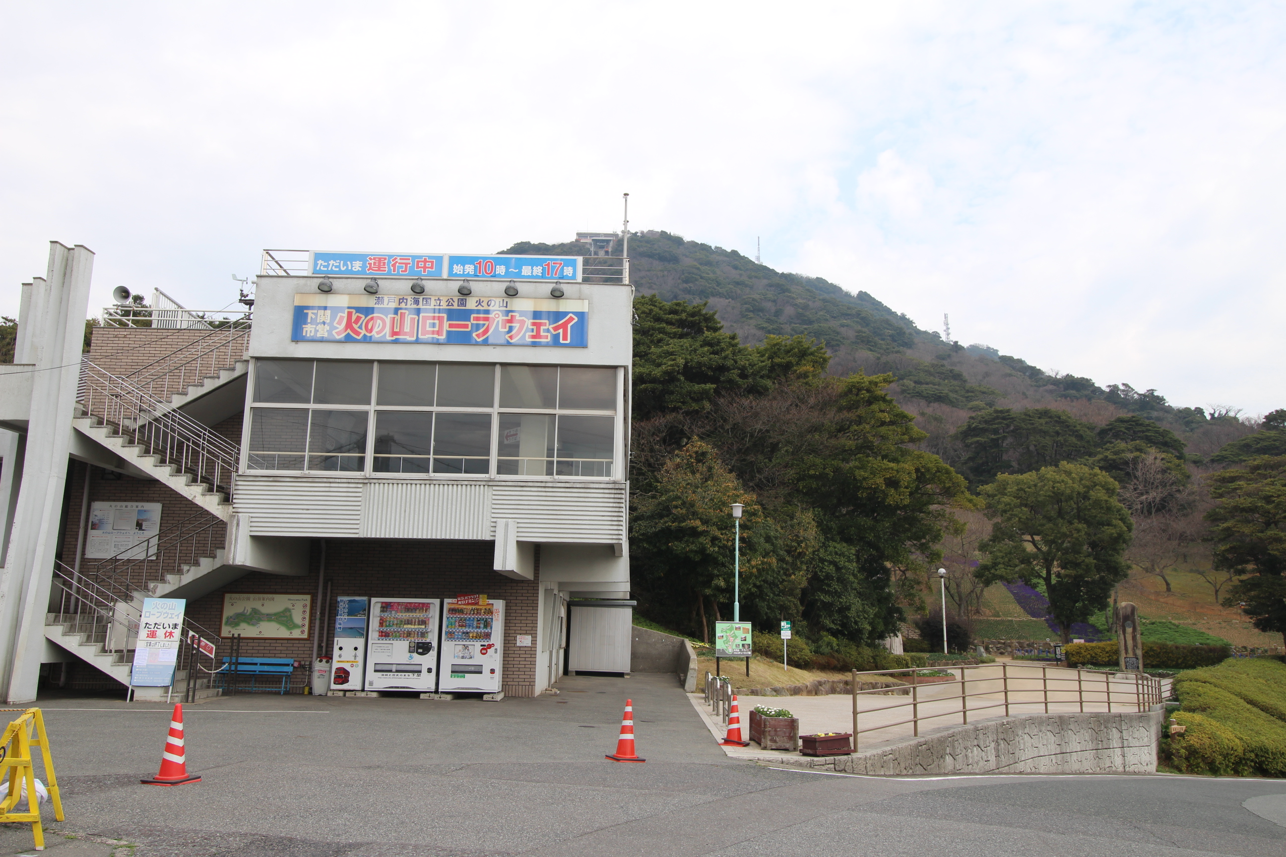 オリーブ ベリー 公園