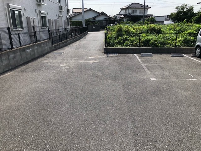 レオネクストリチェズ その他