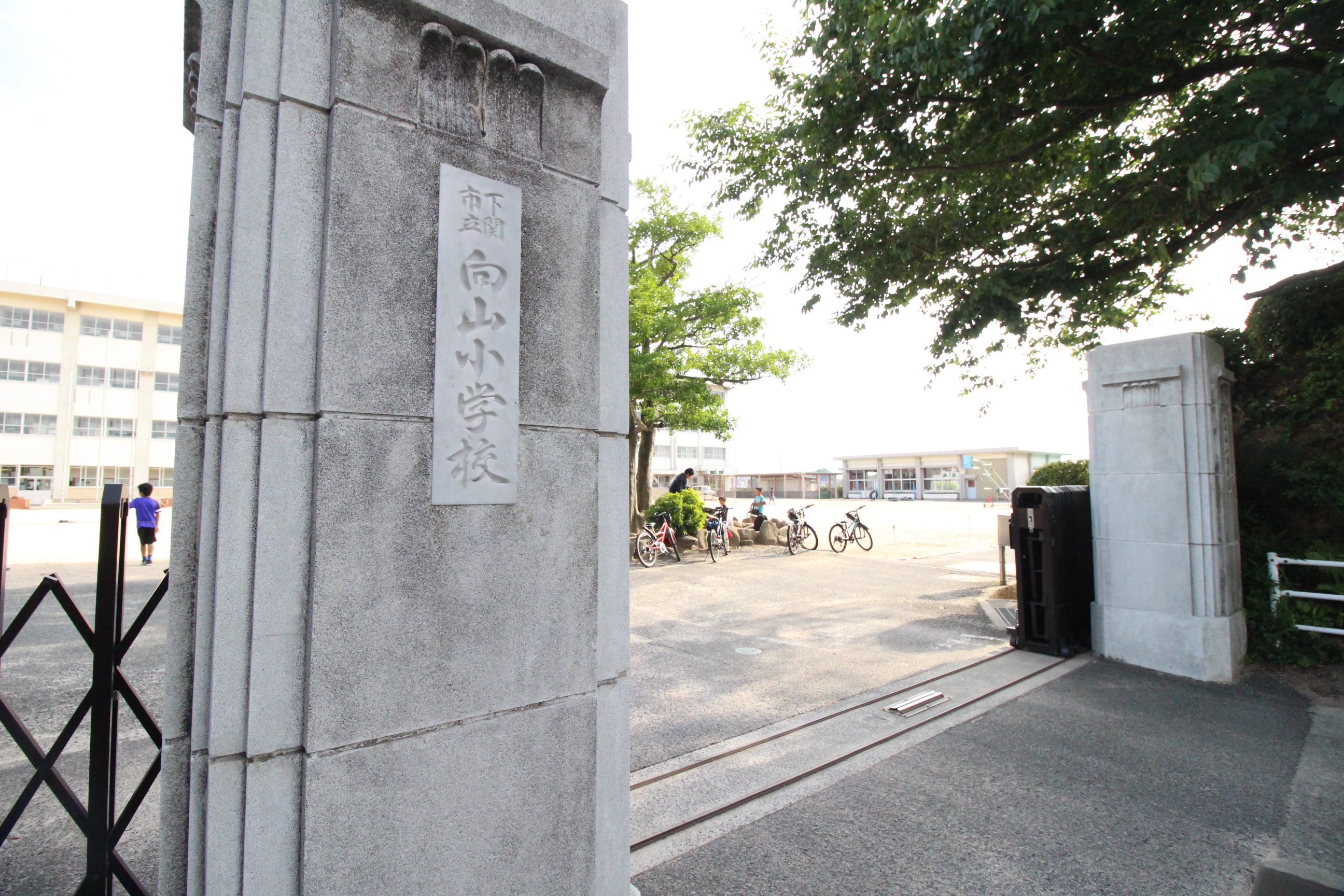 シーサー97 小学校