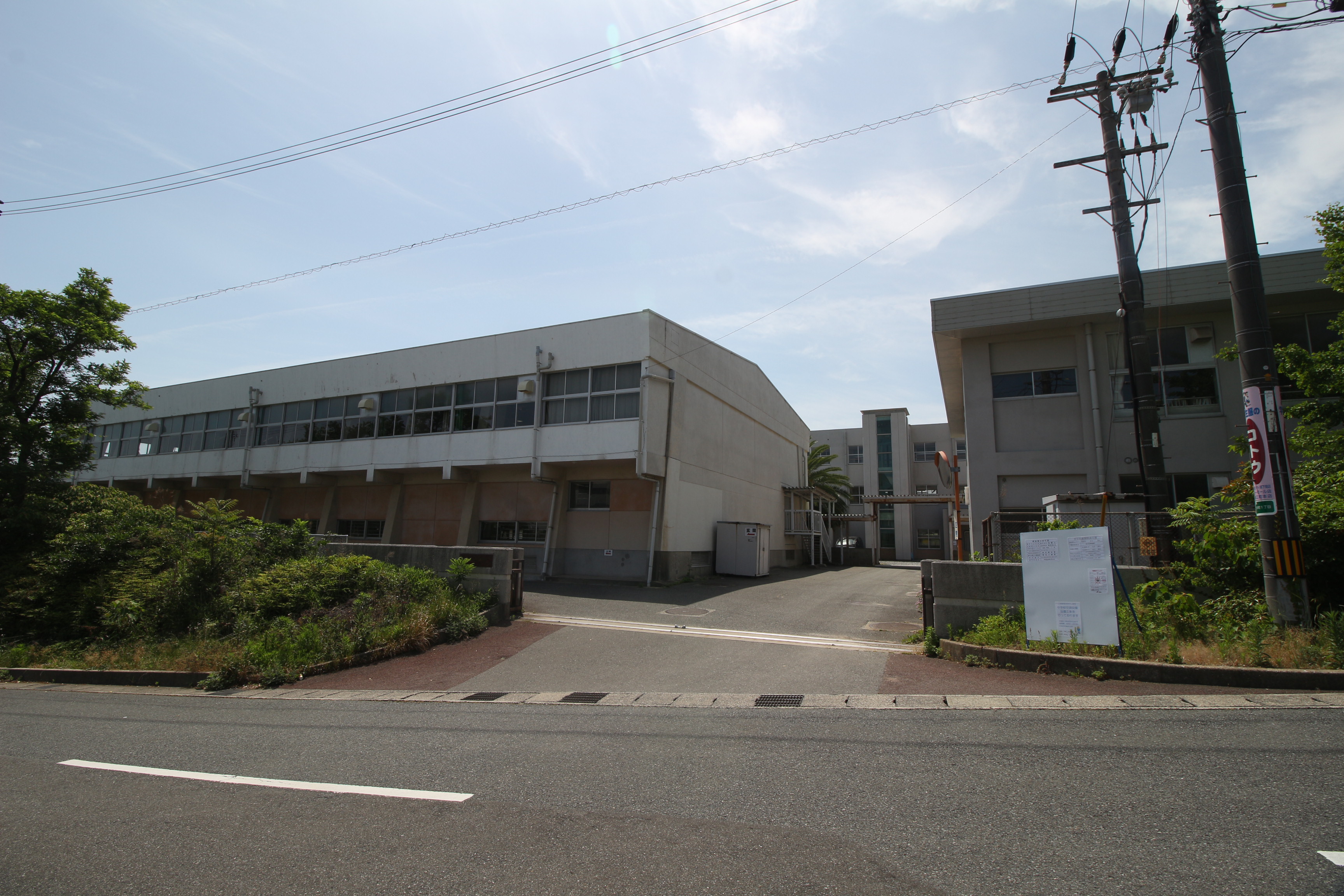 シーサー97 中学校