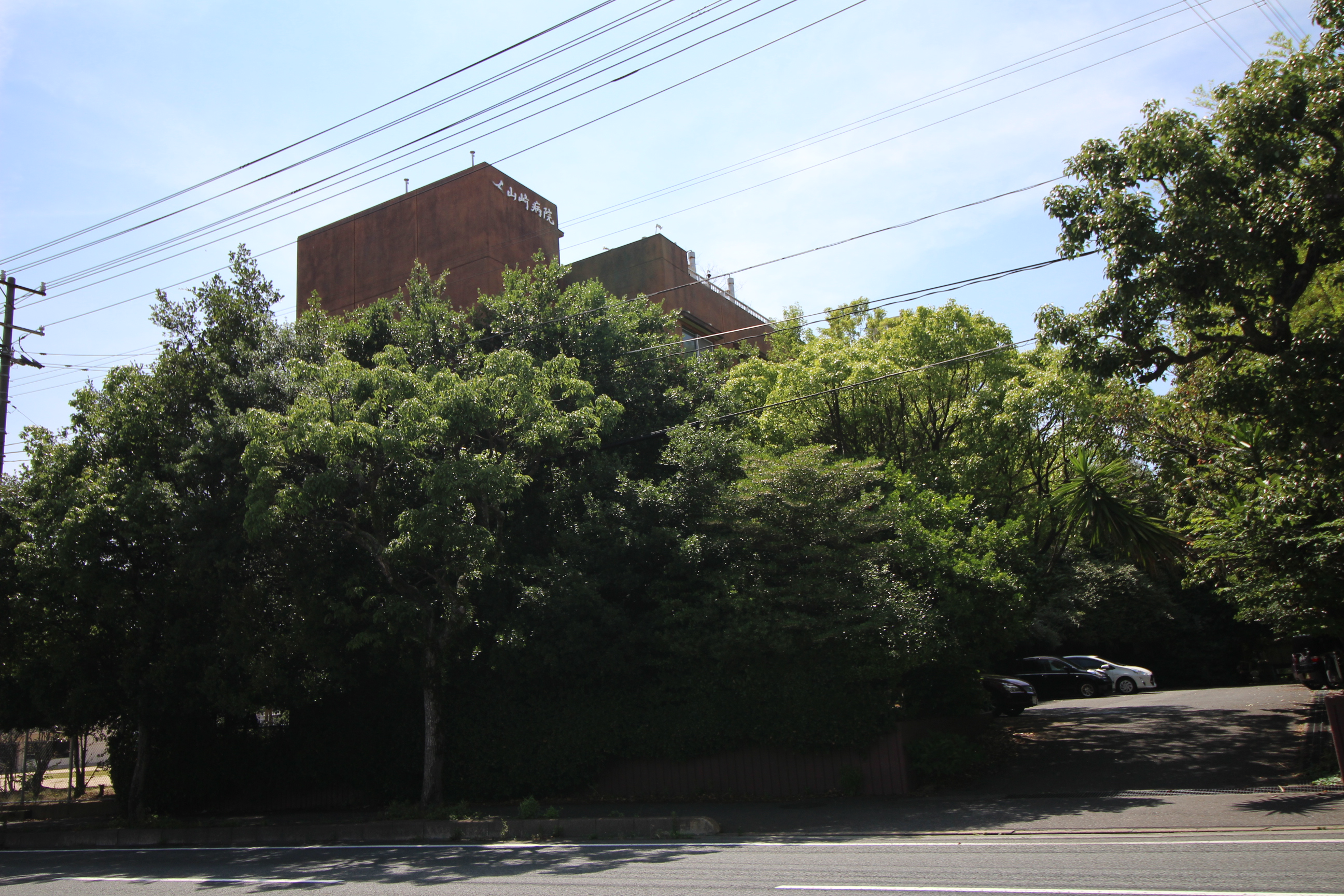 グリーンハイツ四王司 総合病院