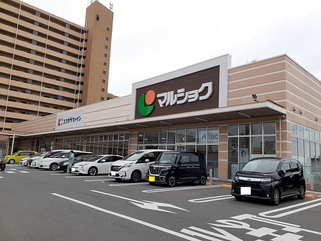 シャンドフルール　Ⅰ その他