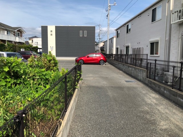 レオネクストリチェズ その他
