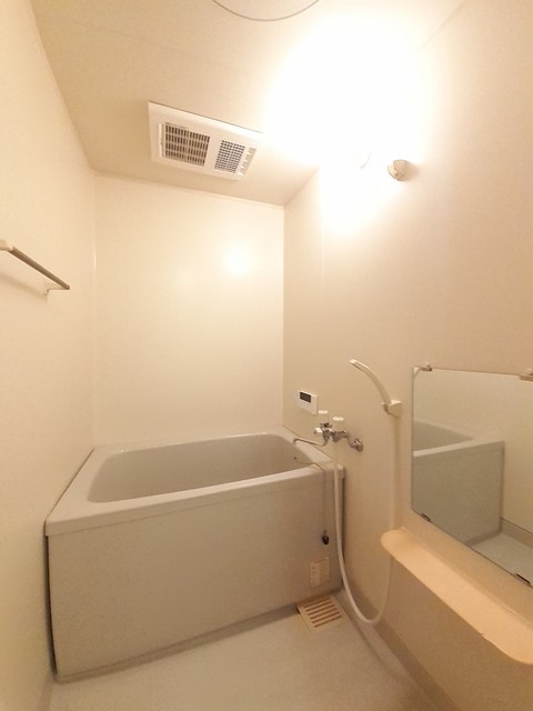 タートルビレッジⅢ 風呂画像