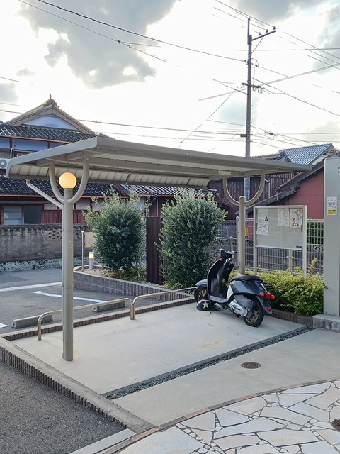 リュウオウ その他
