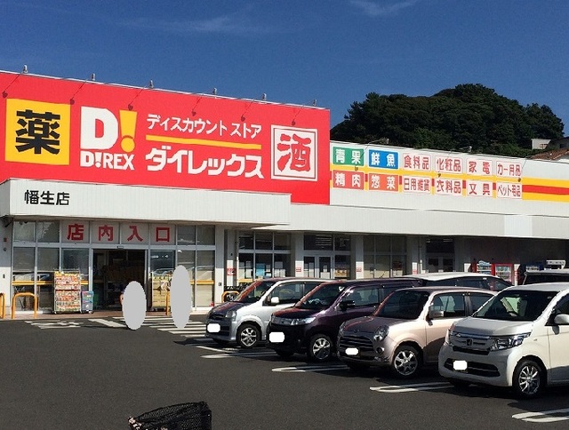 リヒト・リーベ　Ⅱ その他